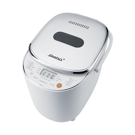 Bakmaskin 12 program